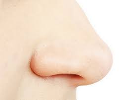 KLINIK RESPIRASI MALANG. Klinik Dokter THT di Malang, Klinik ...